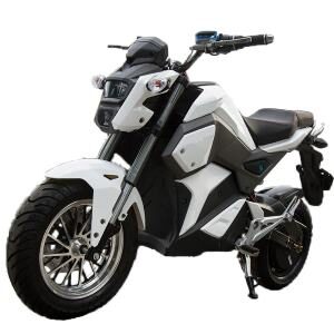 Електричний байк ElWinn EM-125