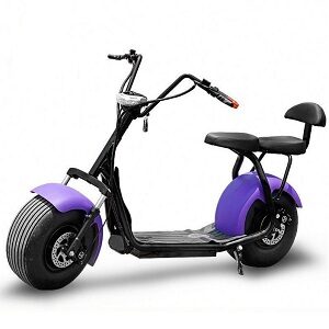 Електробайк ElWinn Citycoco CCS-161