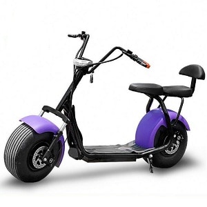 Електробайк ElWinn Citycoco CCS-161 Фото 1