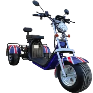 Трицикл ElWinn CCS-180