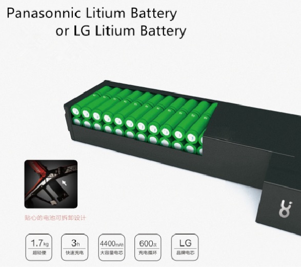 Батареї до Електровелосипеда ElWinn RBS-1 Robstep