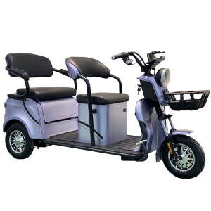 Електрорікша Elwinn Brosteel