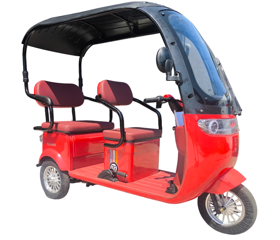 Електричний трицикл Elwinn Everbright