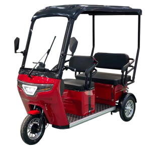 Електро трицикл Elwinn Everbright