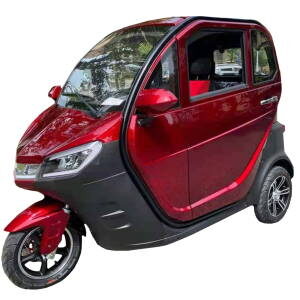 Триколісний електромобіль Elwinn X2