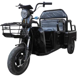 Електричний вантажний трицикл Elwinn AmiGo