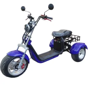 Трицикл Citycoco Elwinn GT Pro