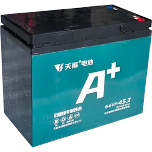 Акумулятор тяговий Tianneng 6-EVF-45