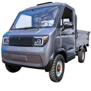 Електромобіль Elwinn Pickup